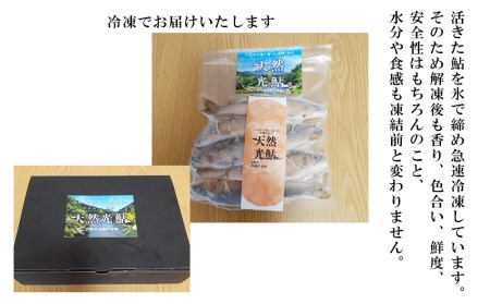 【数量限定】 天然 鮎 約500g [小丸川天然鮎工房hikaru 宮崎県 美郷町 31af0005]