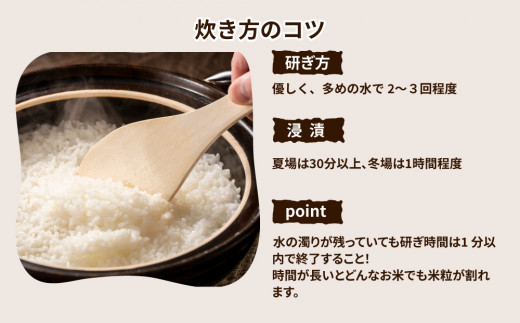 【先行予約】【定期便 3ヶ月】令和8年産 筑波山麓ホタルの里厳選米コシヒカリ5kg 透き通った大粒米 ※2026年11月～発送