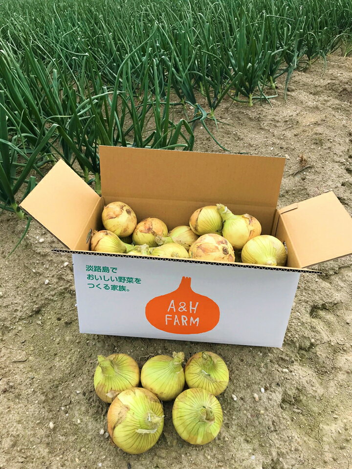 【ふるさと納税】【期間限定】島玉ねぎ（新玉ねぎ）10kg◆発送3月～