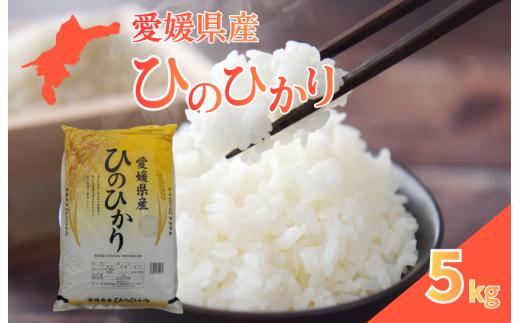 愛媛県産ひのひかり5kg
