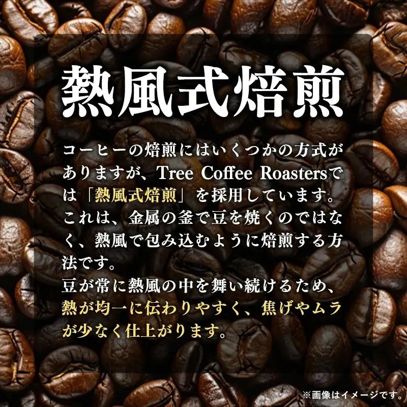 【完全受注焙煎】Tree Coffee Roasters「ニカラグア バニラレモネード ファンキー ナチュラル ハイロースト」 200g - コーヒー 豆 自家焙煎 熱風式焙煎 贈り物