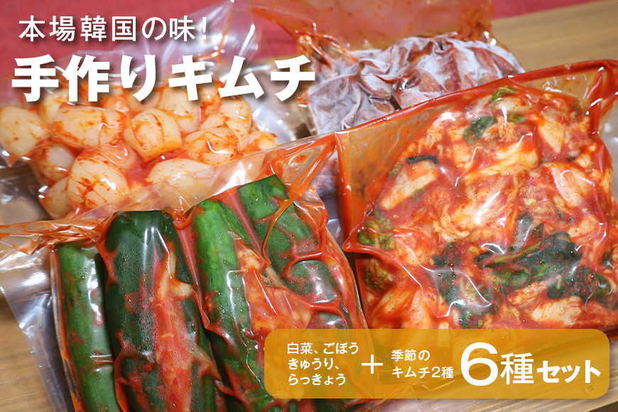 キムチ 6種 (きゅうり らっきょう ごぼう 白菜 季節のキムチ2種 )セット 2.1kg ~ 2.7kg (1袋 約350~450g×6種類) 本場韓国の味 手作りキムチ 胡瓜 ラッキョウ ゴボウ 6種 セット 韓国 AF-003