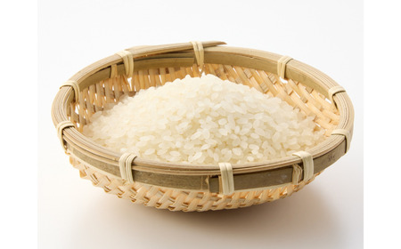 新之助 先行予約 新潟県産新之助5kg 令和7年産 新之助 2025年産 新之助 白米 食味検査で高評価 [飯塚農園]