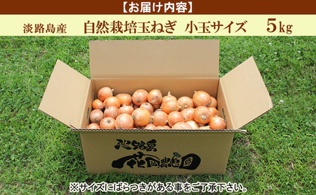 栽培期間中 花岡農恵園 自然栽培 玉ねぎ 小玉サイズ 5kg 野菜 無肥料 無農薬 淡路島 洲本市