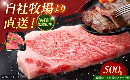 【厳選！おすすめ部位】沖縄和牛 佐渡山牛 ステーキ肉 500g ステーキ 沖縄市 / 肉のサブロー ステーキ ステーキ ステーキ ステーキ ステーキ[BCBC001]