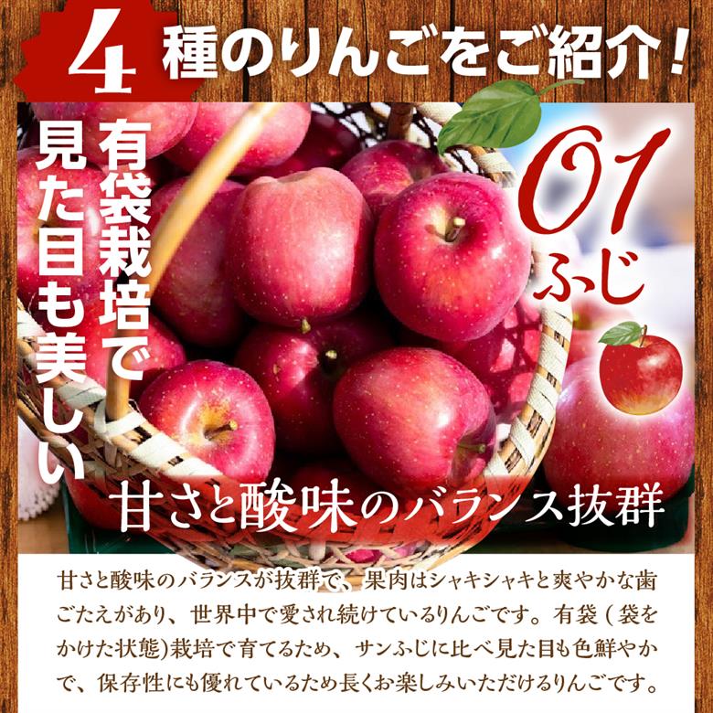 【2026年12月上旬発送】りんご　青森 食べ比べ 4品種<ふじ サンふじ 王林 金星> 5kg 程度 贈答用 青森 農家直送 サンフジ 青森県 五所川原市 贈答 セット 詰め合わせ 林檎 リンゴ a