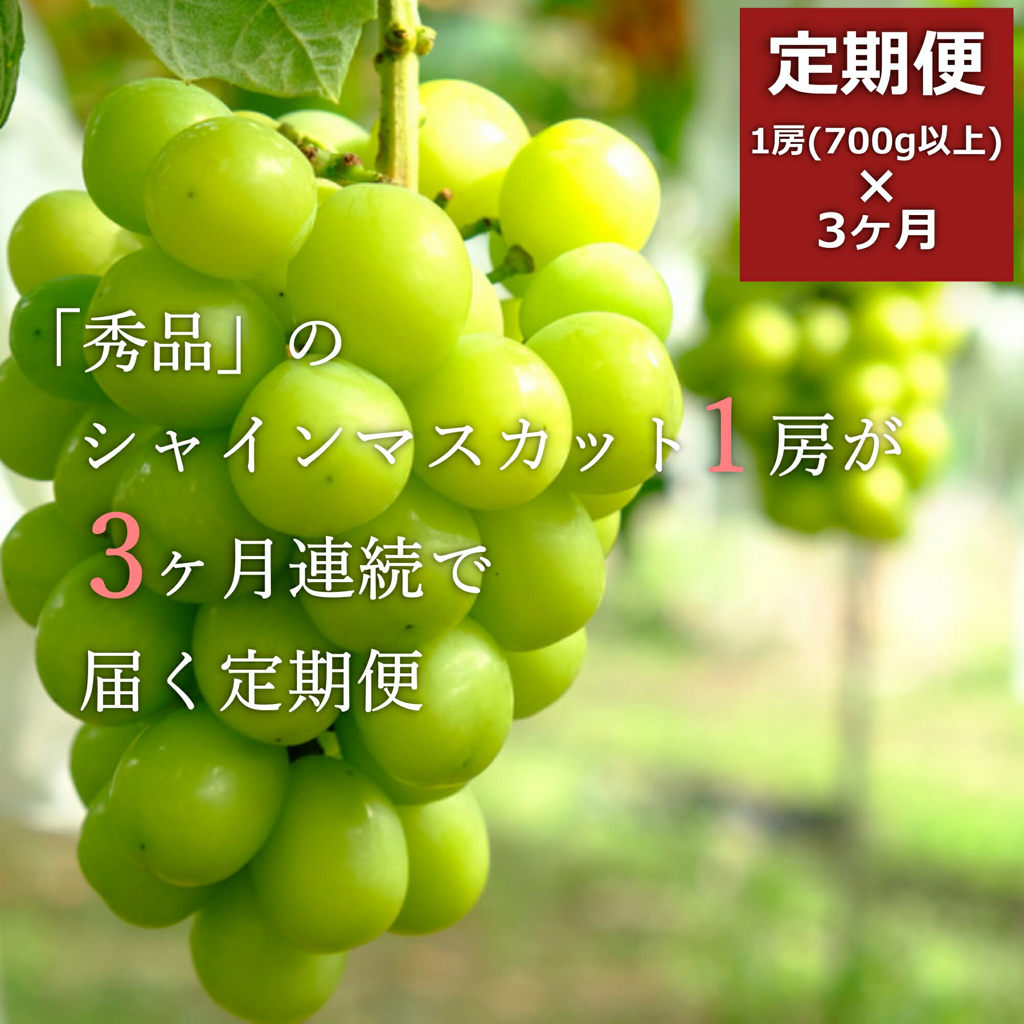 【ふるさと納税】【2025年9月〜11月発送分先行受付】【定期便3ヶ月】「秀品」シャインマスカット700g以上(1房)×3ヶ月_H106(R7)