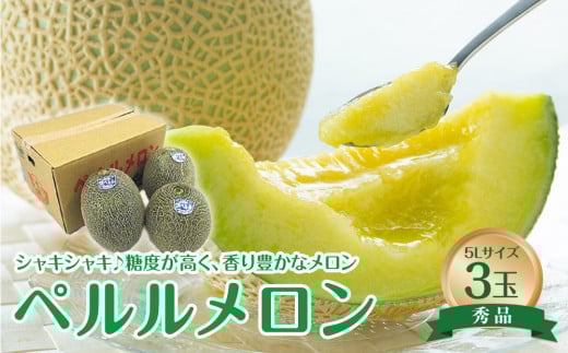 740.【先行予約】【JA】ペルルメロン　秀5L×3玉 ※離島への配送不可 ※2026年6月初旬頃～7月初旬頃に順次発送予定【メロン めろん フルーツ 果物 鳥取県 北栄町 おすすめ 人気】