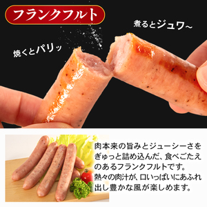 ハンバーグ サラミ フランクフルト 詰め合わせセット 3種 ソーセージ ソーセージ ソーセージ ソーセージ