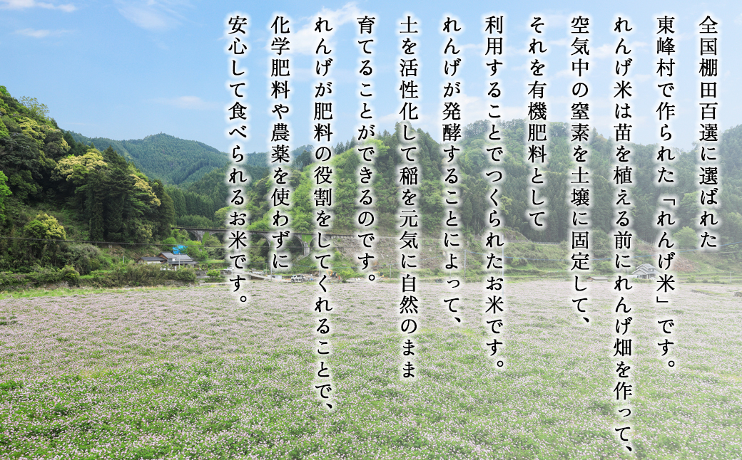 AB1-S1 東峰村の湧き水で作った「東峰村れんげ米(夢つくし)」5ｋｇ