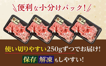 【12回定期便】佐賀和牛 切り落とし 計1kg(250g×4p)【一ノ瀬畜産】[NAC167]