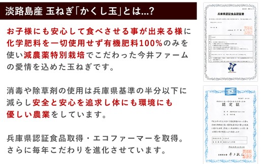 【新たまねぎ】今井ファームの淡路島たまねぎ「かくし玉