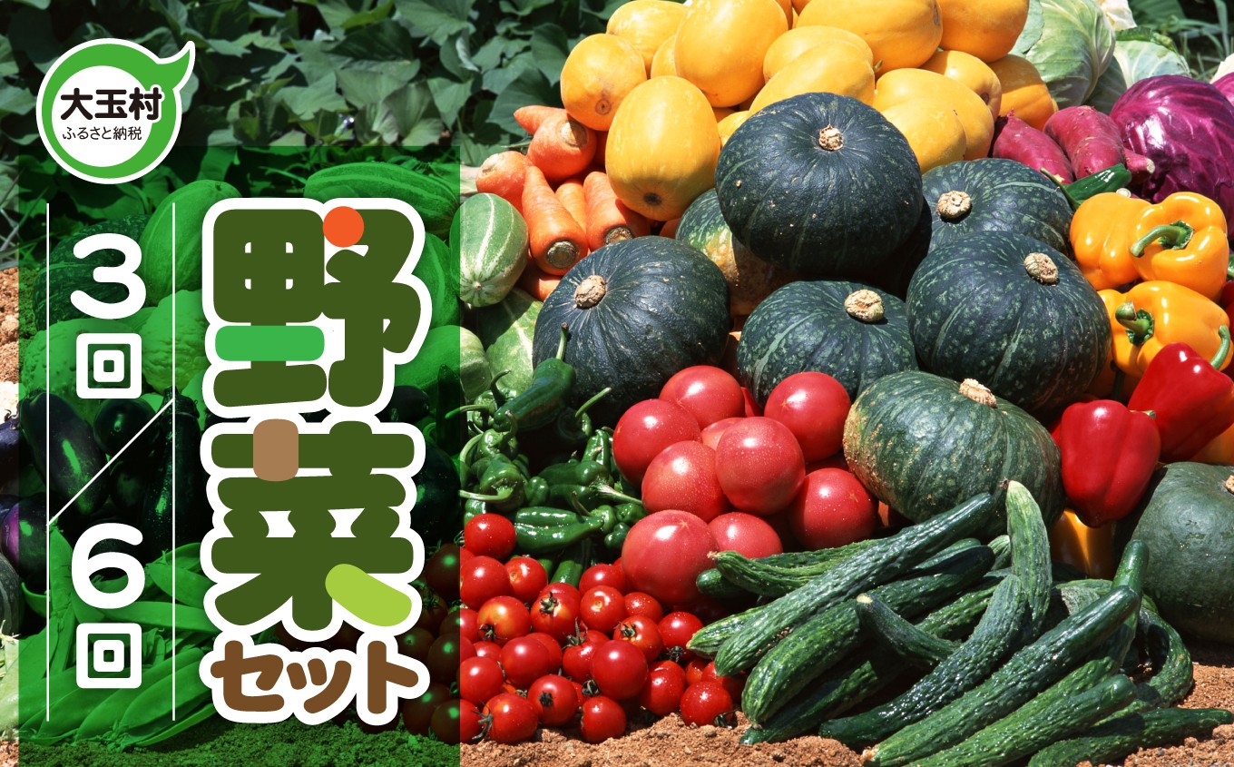 
            野菜  定期便 選べる回数  (全3回/全6回)  】先行 予約・ 定期便  ｜旬 の 野菜 10品目 前後 お届け｜トマト 大根 小松菜 ねぎ にんじん ピーマン きゅうり ナス 他｜新鮮 野菜詰め合わせ 無農薬 直送 定期 野菜便 福島県 大玉村 01107-oya
          