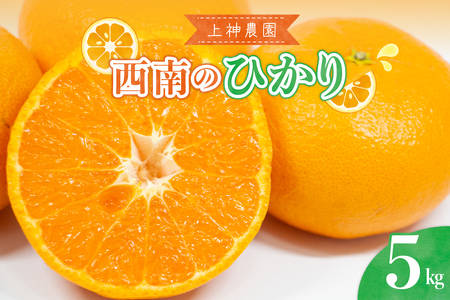 【2025年12月上旬～発送】上神農園の西南のひかり 約5kg ku011-036-25