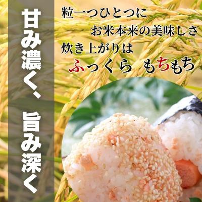ふるさと納税 吉野町 【令和7年産】濃福米 5kg|米 奈良県吉野町産 ひのひかり |  | 01