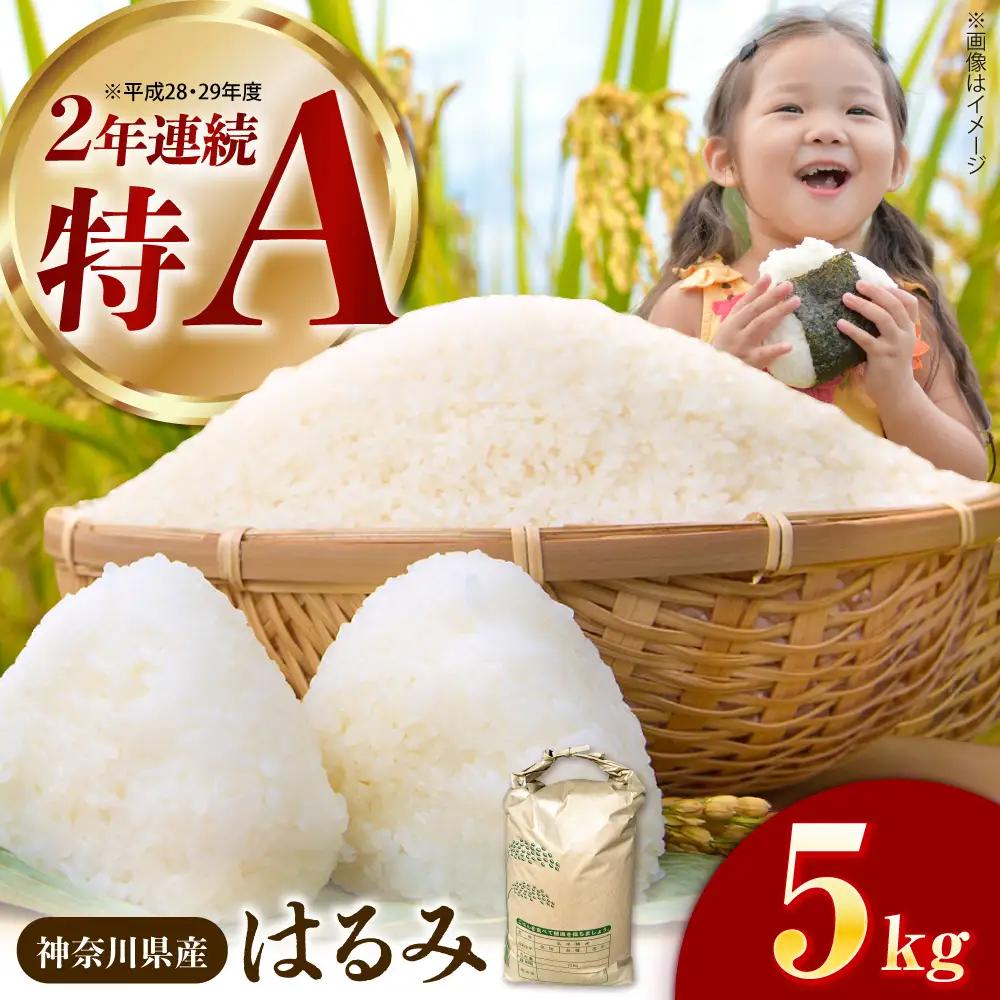 米 はるみ米 5kg はるみ [BDBB002] 