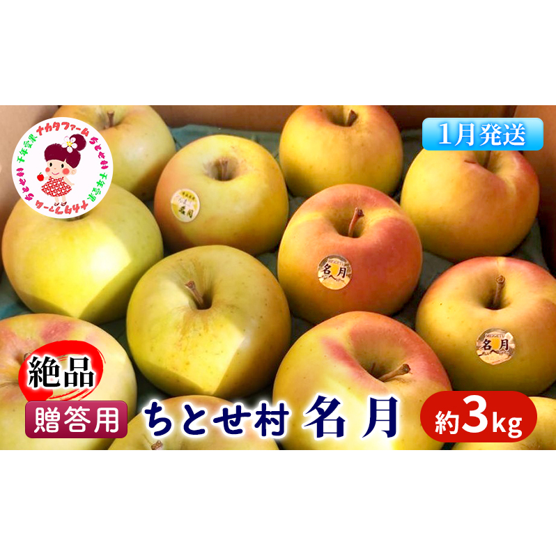 【1月発送】贈答用 絶品 ちとせ村 名月 約3kg【弘前市産・青森りんご】