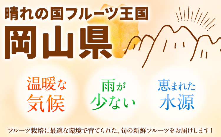 岡山県産 旬の 人気 くだもの おすすめ 定期便 全2回 桃 合計1.3kg シャインマスカット 合計1.3kg《7月上旬～11月中旬頃より発送予定》フルーツ 果物 定期便 先行予約 お取り寄せ デザ