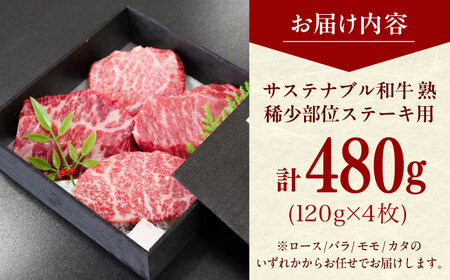 稀少部位ステーキ肉480g(120g×4枚 )和牛[AIAT012]ステーキ肉