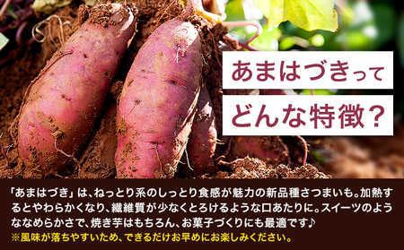 タカハマ観光農園 の あまはづき 3kg タカハマ観光農園《9月下旬-12月末頃出荷》熊本県 大津町 さつまいも 芋 いも イモ あまはづき アマハヅキ 送料無料