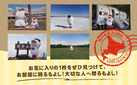 ポストカード 5枚セット T042-019 とまチョップ キャラクター ご当地 苫小牧観光協会 ふるさと納税 苫小牧市 おすすめ ランキング プレゼント ギフト