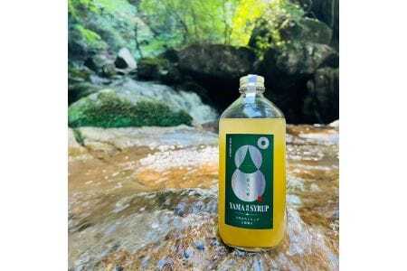 郡上産クラフトドリンクシロップ『パチコーラ』『山のシロップ』セット