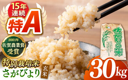 【特別栽培米】令和6年産さがびより 玄米 30kg 【ももさき農産】  [HCG001]