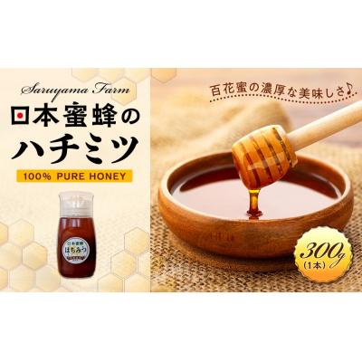ふるさと納税 栃木市 日本蜜蜂のハチミツ100%!はちみつ(逆さ容器300g1本)