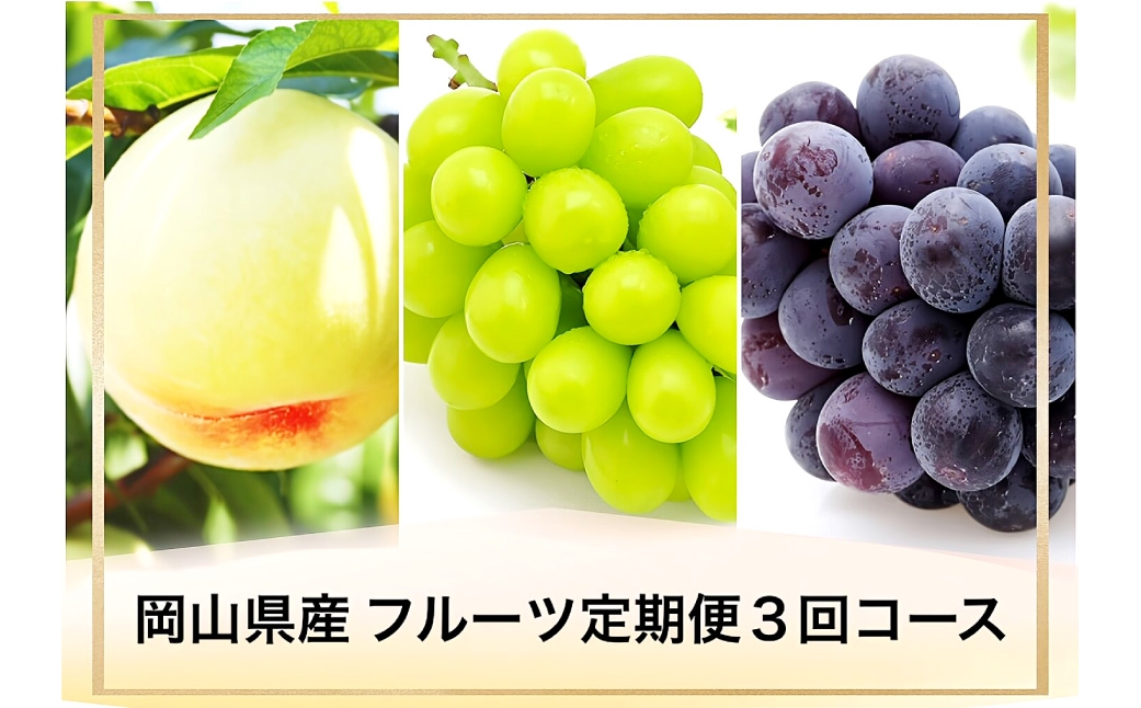 
                  【 全3回定期便 】 岡山県産 フルーツ定期便 ＜ お一人様向け ＞ 白桃 ニューピオーネ シャインマスカット 晴王 果物 くだもの 果実 フルーツ 国産 ぶどう ブドウ 葡萄 もも 桃 モモ 梨 なし ナシ 化粧箱 【 2026年7月上旬～9月下旬迄発送予定 】
                