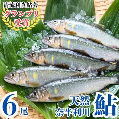 ふるさと納税 奈半利町 奈半利川の友釣り天然アユ(冷凍)6尾　107011