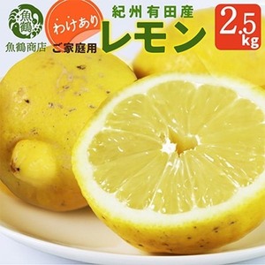 〈発送月固定定期便〉紀州和歌山産旬のご家庭用柑橘セット(みかん・不知火・レモン)全3回　※離島への配送不可