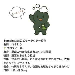 bambina 竹ふわり 竹炭ミネラル 洗濯洗剤 1000ml×２本 ポンプ付き 定期便（3カ月お届け） AM11-FN