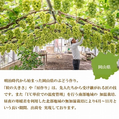 【2026年7月中旬より順次発送】岡山県産 シャインマスカット 晴王 600g×2房【配送不可地域：離島・北海道・沖縄県】