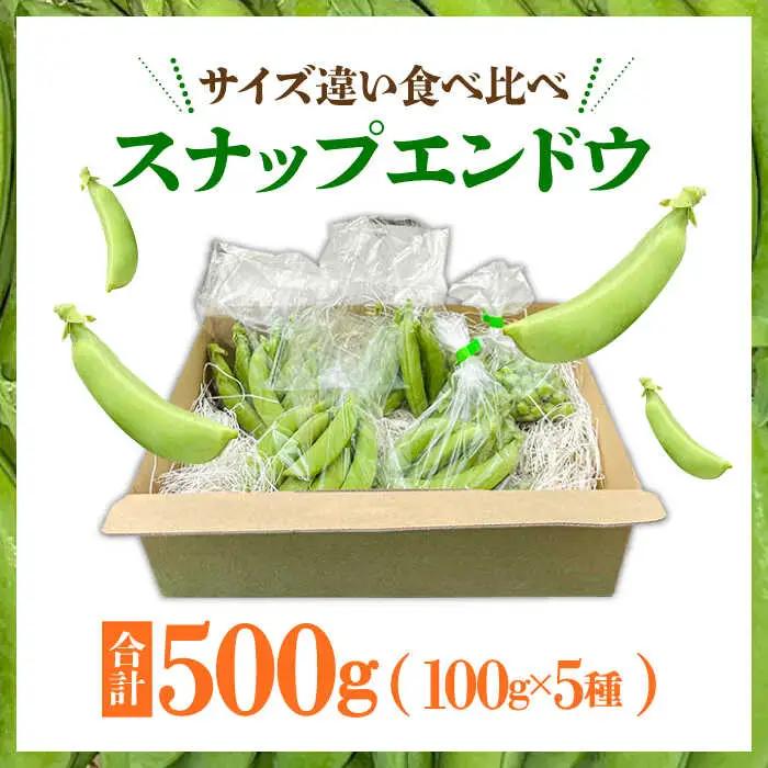【2027年1月-発送】スナップエンドウ　サイズ違い　食べ比べセット　100g × 5袋 / 小分け / 南島原市 [SFL001]