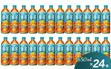 やかんの麦茶 from 爽健美茶 650mlPET 24本入り  1ケース ｜ お茶 麦茶 カフェインゼロ 爽健美茶