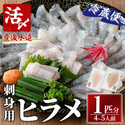ふるさと納税 佐伯市 ヒラメ 刺身用 ブロック 冷蔵(1匹分・4-5人前)
