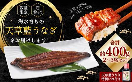 【ミシュラン1つ星店 採用】 うなぎ 国産 蒲焼き2-3尾 400g ギフト 蒲焼き 白焼き 鰻重 鰻丼 【数量限定】海水育ちの天草藍うなぎ 天草藍うなぎ 天草うなぎ 国産うなぎ 熊本県産うなぎ