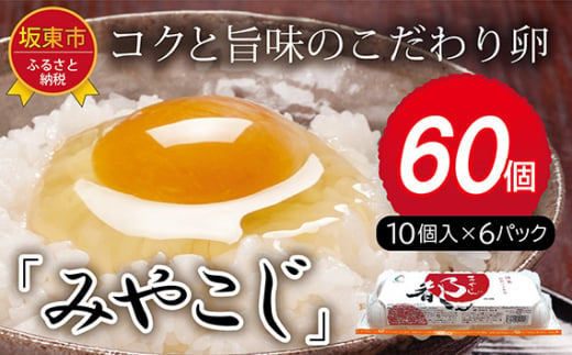 
No.216 たまごのプロが認める伝承卵「みやこじ」60個 ／ タマゴ 玉子 茨城県 特産品
