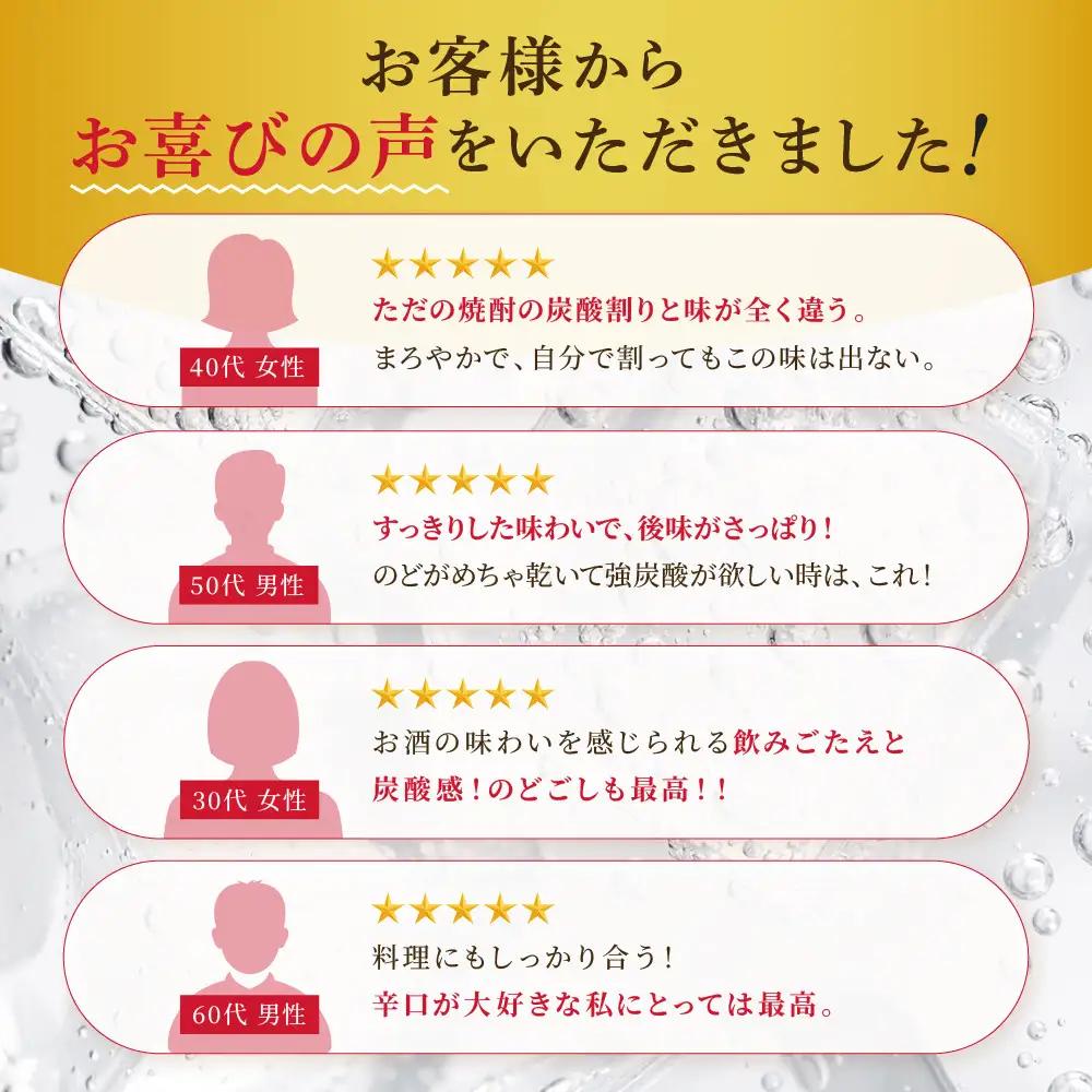 【宝酒造】極上宝ハイボール 350ml×24本｜京都 タカラ 焼酎 チューハイ 酎ハイ ハイボール 人気セット