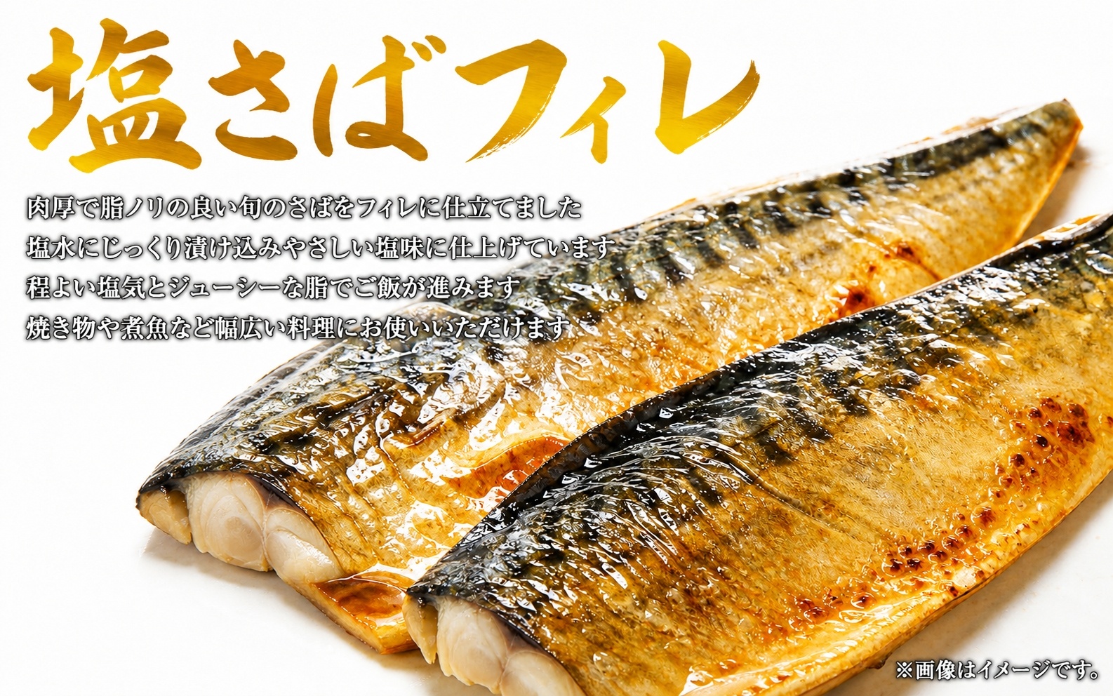 【3回定期便】おさかな定期便 サバ ウナギ サケ【tkb131】