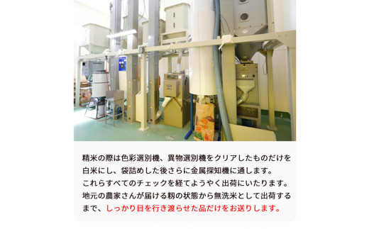 無洗米 10kg （5kg×2袋） 京都丹波産 キヌヒカリ ※受注精米《米 白米 きぬひかり 10kg 5キロ×2袋 ふるさと納税 無洗米 大嘗祭供納品種》※北海道・沖縄・離島への配送不可