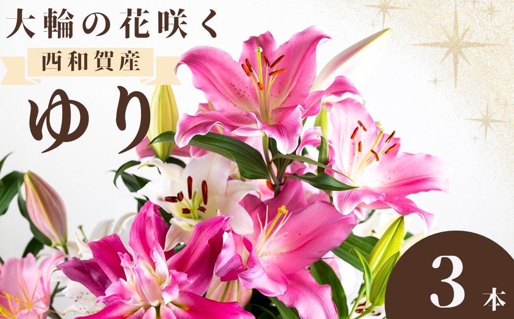
                  ＜期間限定11月30日迄＞高原ふれあい産直　西和賀・高原のユリ 3本 
                