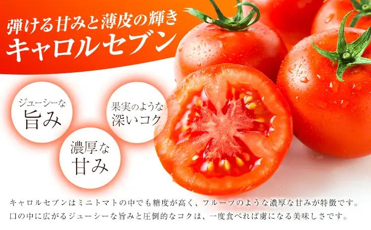 ミニトマト キャロルセブン 約1kg トマト