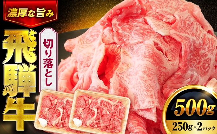 
            飛騨牛 切り落とし 500ｇ(250g×2パック) 【土岐市観光協会】牛肉 飛騨牛 国産牛 和牛 ブランド牛 飛騨 肉 切り落とし 小分け カレー 肉炒め 黒毛和牛 赤身 霜降り [MHI005]
          