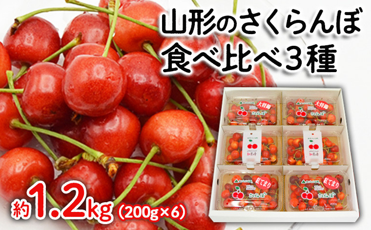 
            山形のさくらんぼ食べ比べ3種 1.2kg(200g×6パック)[紅秀峰・紅てまり・大将錦] 【令和7年産先行予約】FS24-559くだもの 果物 フルーツ 山形 山形県 山形市 2025年産
          