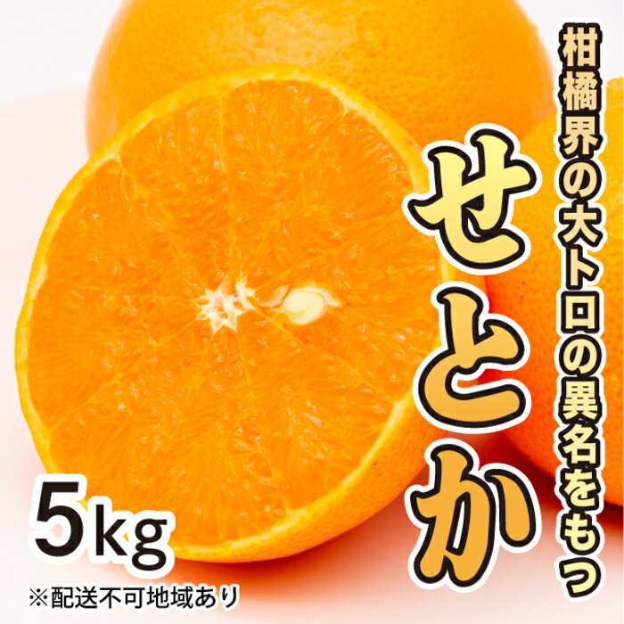 【ふるさと納税】みかん 柑橘【先行受付】【2026年2月下旬以降発送】果汁たっぷり甘さに満足 柑橘の大トロせとか ＜5kg＞ 広島 三原 佐木島 鷺島みかんじま 017021