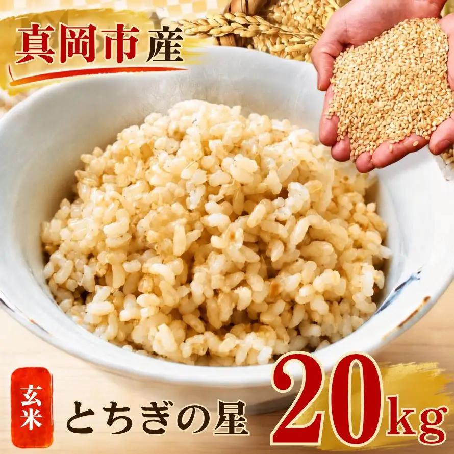 【令和8年産 先行予約】真岡市産 とちぎの星 玄米 20kg 