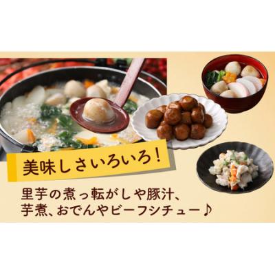 ふるさと納税 大野市 【先行予約】皮むきいらず、煮っ転がしにおすすめ!上庄の里芋の洗い子【冷凍】500g × 4 計2kg |  | 01