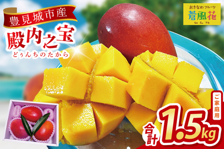 【2026年7月より順次発送】豊見城産マンゴー『殿内之宝(どぅんちのたから)』約1.5kg(ご家庭用) (DR005)