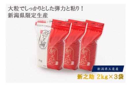 【令和6年度産新米】新之助 精米 6kg（2kg×3袋） 〈10月上旬以降順次発送〉有限会社ファームみなみの郷